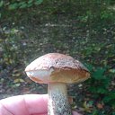 ���� ����, ������, 46 ��� - ��������� 30 �������� 2018 � ������ ������ ��������