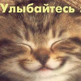 �������, ���������, 23 ����