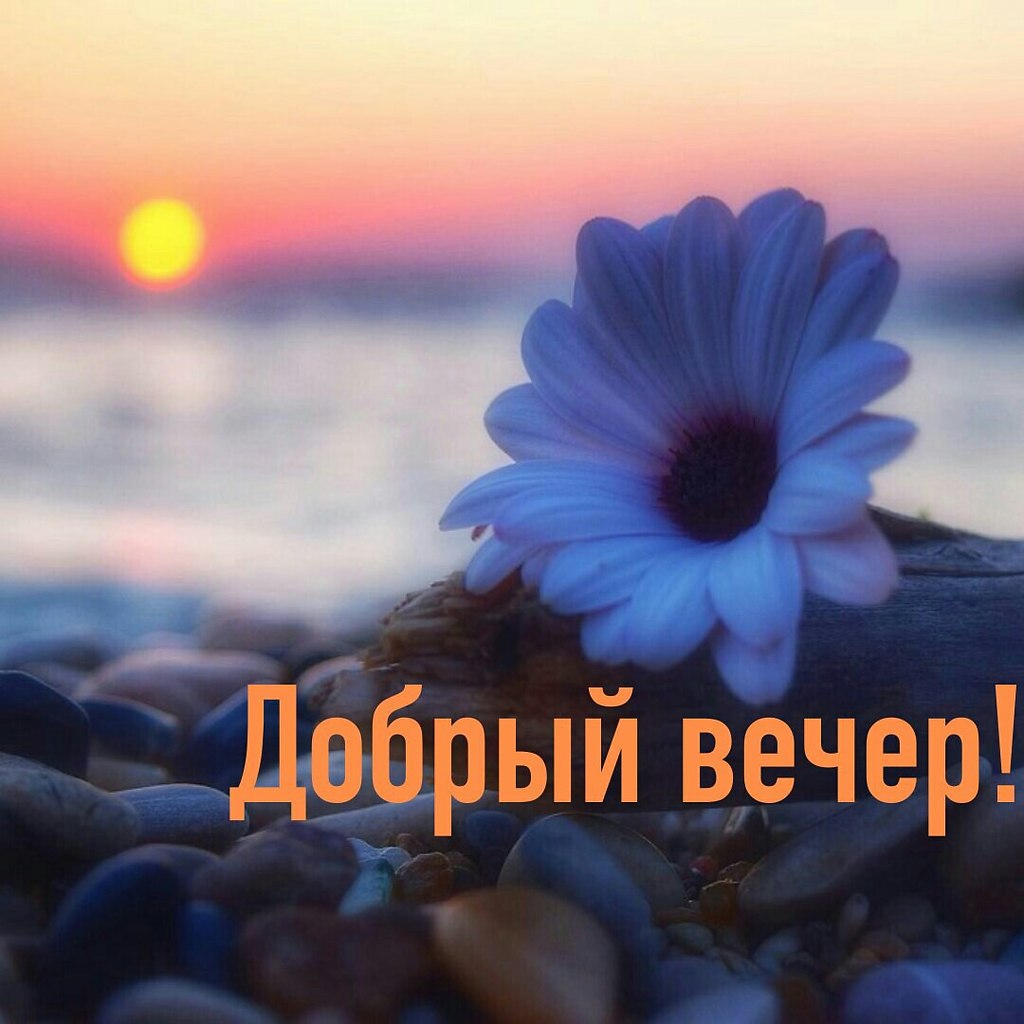   ,    . - 19  2019  18:14