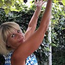 ���� ����, �������� - ��������� 29 �������� 2018 � ������ ���� ����������