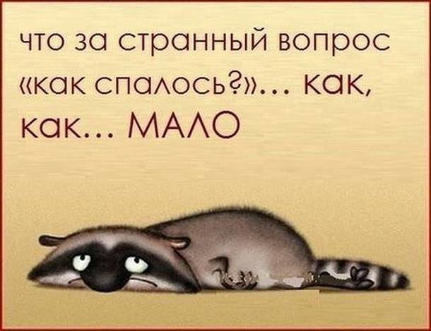  ,    . - 8  2019  11:14