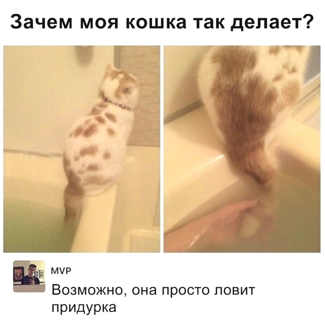 ...  !