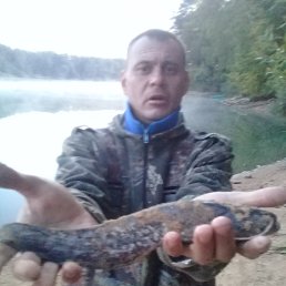 �������, ������, 50 ���