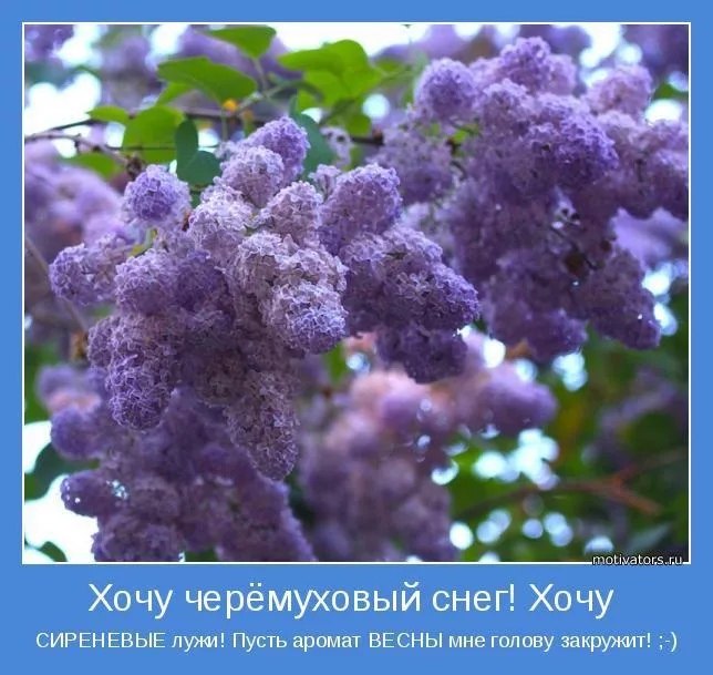   ,    . - 15  2019  17:08