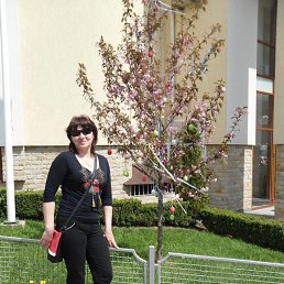 ����, ���������, 48 ���