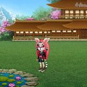 ���� �����, ������� - ��������� 24 ������� 2019 � ������ �Tropikania�