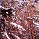 ���� Angelocek, ������, 65 ��� - ��������� 21 ������� 2019 � ������ ���� ����������