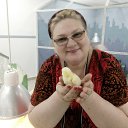 ��������� ����� � ���� ����� �� ������� ���� ����������