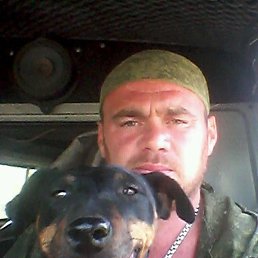 ����, ���������, 46 ���