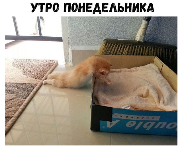    :D - 12  2018  16:37