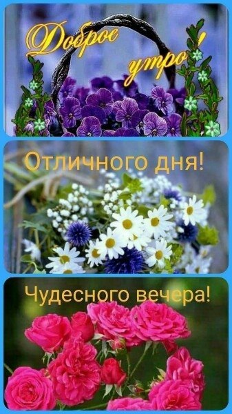   ,    . - 10  2019  00:23 - 2