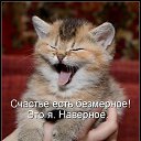 ���� ����, ������ �������� - ��������� 25 �������� 2018 � ������ ���� ����������
