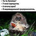 ���� �����, ������, 48 ��� - ��������� 24 ������� 2018 � ������ ������ ��������