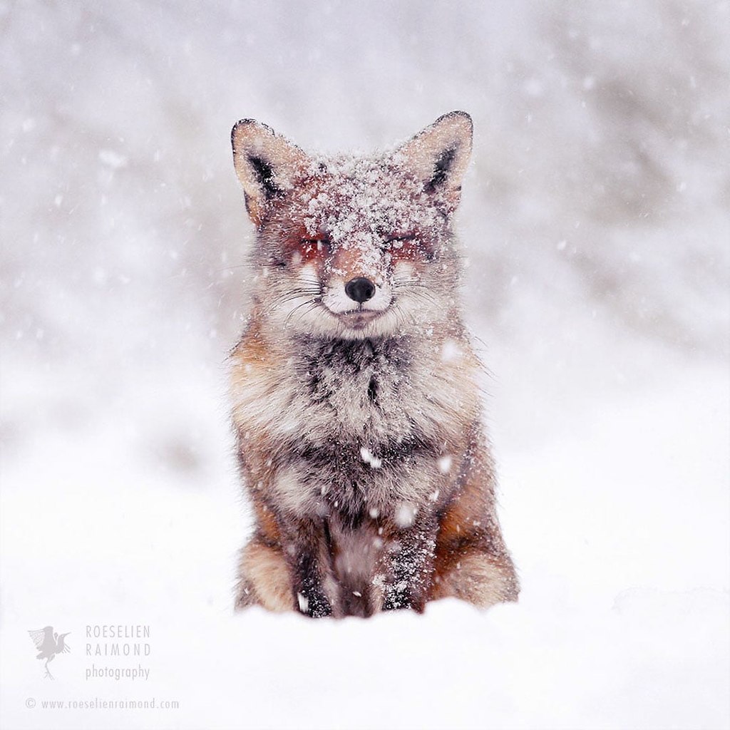 #@https://fotostrana.ru/away?to=/sl/NWB4 Emma Taggart - 9