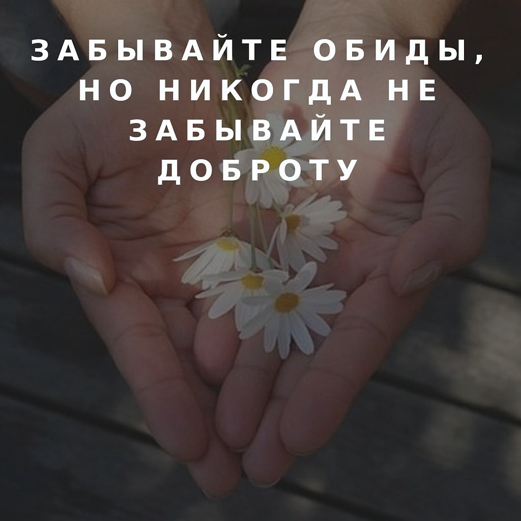    - 8  2018  16:41