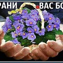 ���� ��������, ������, 68 ��� - ��������� 22 ���� 2018 � ������ ������ ��������