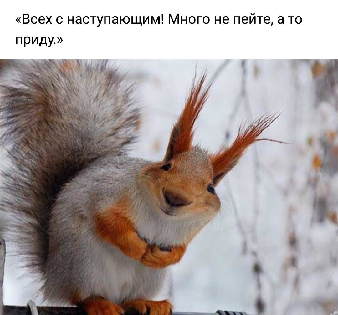  - 20  2018  07:31