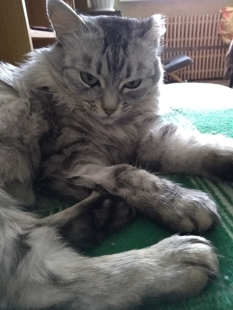 #_.     ,     .     ... - 4