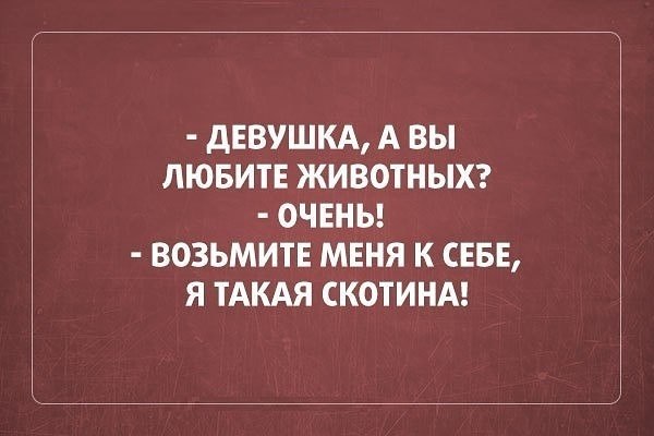 ☆ ☆ - 20  2018  16:49
