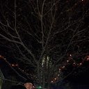 ���� ������, �������, 40 ��� - ��������� 24 ������� 2018 � ������ ���������� ������