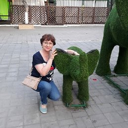 , 66, 