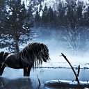 ���� Voldemar, �����-���������, 47 ��� - ��������� 30 ���� 2018 � ������ ���� ����������