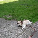 ���� ��-��������, �����, 43 ���� - ��������� 21 ������� 2018 � ������ ���� ����������