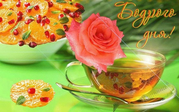   ,    . - 16  2019  00:06