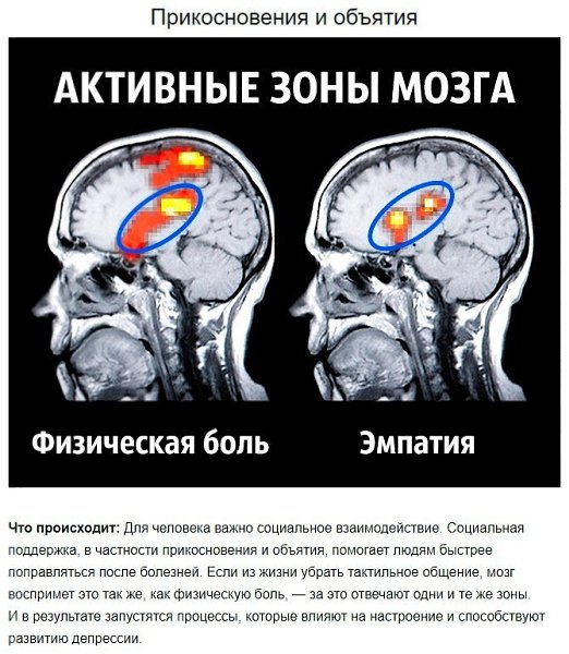 8 советов нейробиолога о том, как стать счастливым раз и навсегда. - 4
