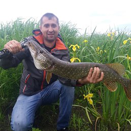 ���� ����, �������, 41 ��� - ��������� 22 ������� 2018