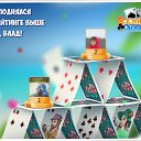 ���� �����, ������, 40 ��� - ��������� 24 ������� 2018 � ������ �������� �������-�������