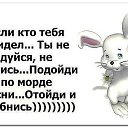    ....,  -  15  2019       !!!