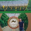 ���� ������, �����������, 37 ��� - ��������� 2 ����� 2019