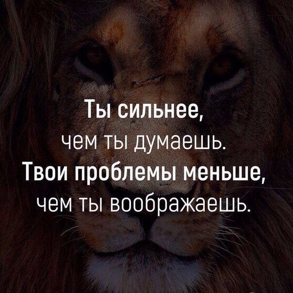 BEST | , ,  - 28  2018  16:37