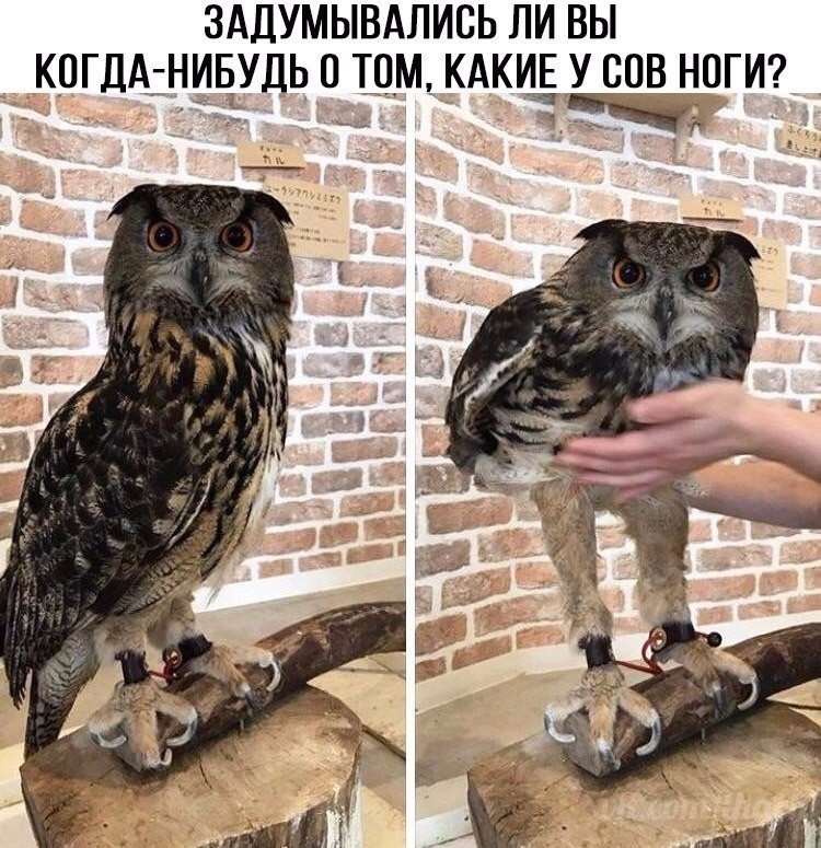  - 4  2019  17:02