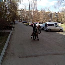 ��������, �������, 35 ���