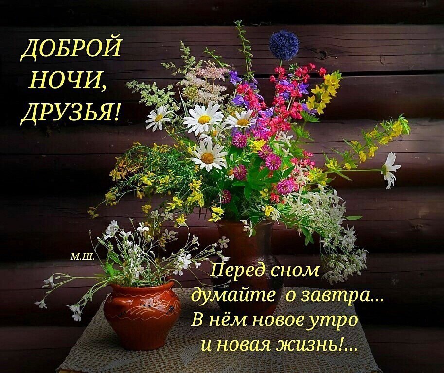   ,    . - 18  2019  21:41