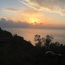  Svetlana,  -  4  2018    