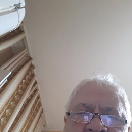 ���� �����, �����-���������, 69 ��� - ��������� 23 ������� 2018