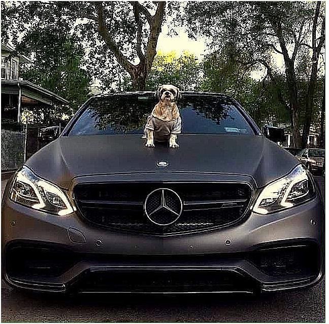 Mercedes-Benz E63 AMG