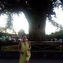 ���� ������, ������, 44 ���� - ��������� 15 ������� 2018 � ������ ���� ����������