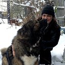 ���� ���������, ���, 44 ���� - ��������� 11 ������� 2018 � ������ ���� ���� ������