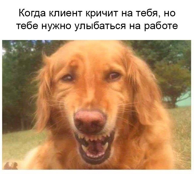 ☆ ☆ - 10  2018  16:46