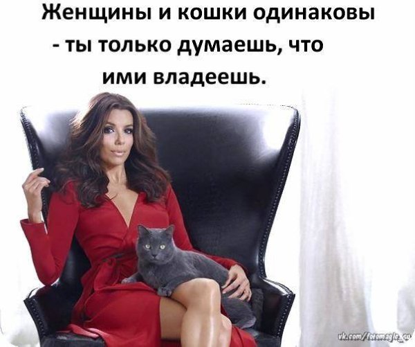   - 10  2018  21:25