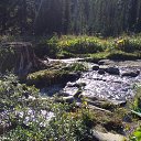  , , 46  -  20  2018     "" ( 2018)