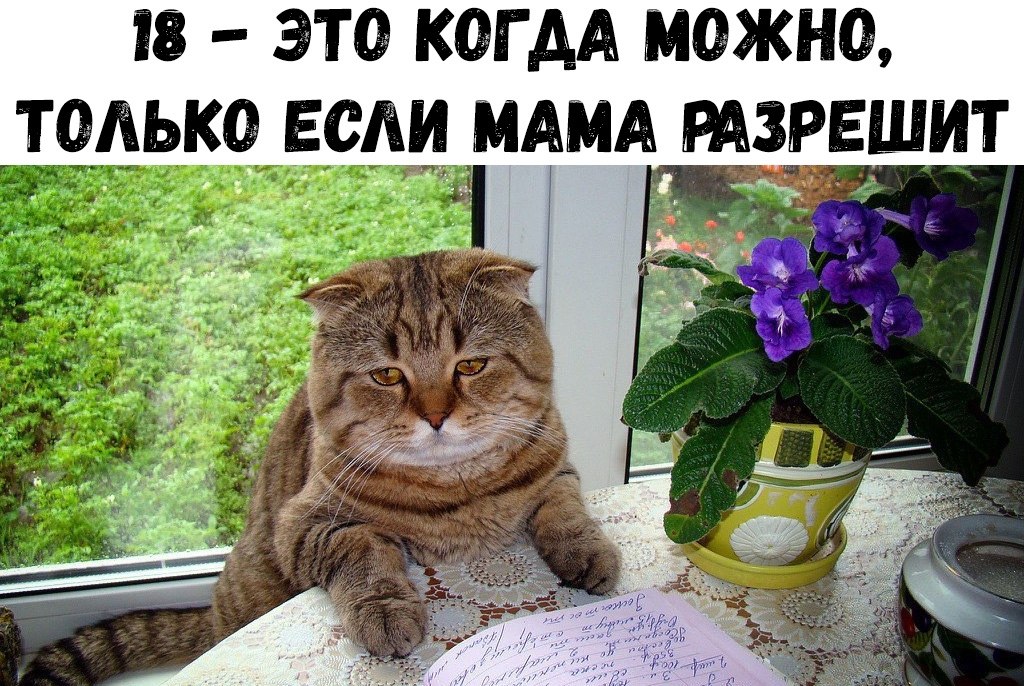    :D - 15  2018  17:10