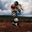 ���� �����, �����-���������, 61 ��� - ��������� 8 �������� 2018 � ������ ������ ��������