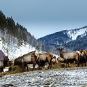  , -, 64  -  9  2019   - 