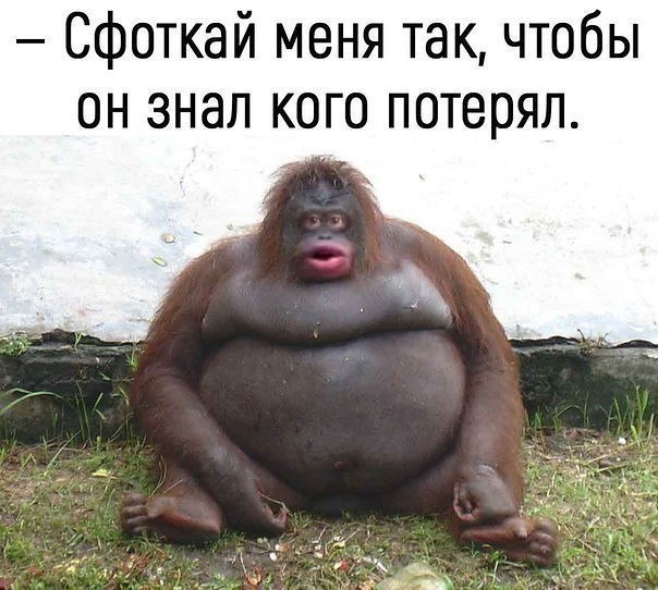   - 8  2018  15:52