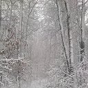 ���� ������, ������, 52 ���� - ��������� 5 ������� 2019